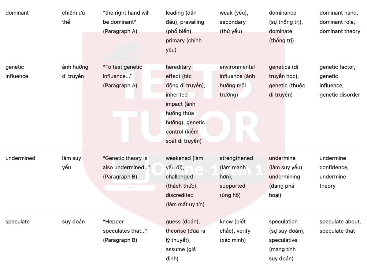 🔥Left-handed or Right-handed? Answers with location - Đề luyện tập IELTS READING- Làm bài online format computer-based, kèm đáp án, dịch & giải thích từ vựng - cấu trúc ngữ pháp khó 🔥Left-handed or Right-handed? Answers with location - Đề luyện tập IELTS READING- Làm bài online format computer-based, kèm đáp án, dịch & giải thích từ vựng - cấu trúc ngữ pháp khó