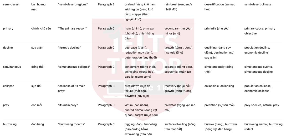 🔥The return of the black-footed ferret Answers with location - Đề luyện tập IELTS READING- Làm bài online format computer-based, kèm đáp án, dịch & giải thích từ vựng - cấu trúc ngữ pháp khó 🔥The return of the black-footed ferret Answers with location - Đề luyện tập IELTS READING- Làm bài online format computer-based, kèm đáp án, dịch & giải thích từ vựng - cấu trúc ngữ pháp khó