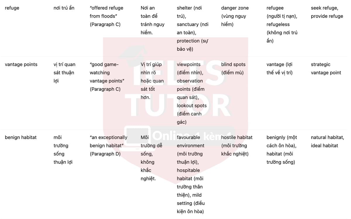 🔥Neanderthal Technology Answers with location - Đề luyện tập IELTS READING- Làm bài online format computer-based, kèm đáp án, dịch & giải thích từ vựng - cấu trúc ngữ pháp khó 🔥Neanderthal Technology Answers with location - Đề luyện tập IELTS READING- Làm bài online format computer-based, kèm đáp án, dịch & giải thích từ vựng - cấu trúc ngữ pháp khó