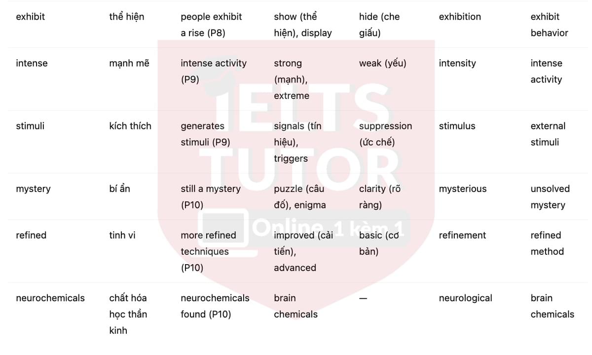 🔥The science of sleep Answers with location - Đề luyện tập IELTS READING- Làm bài online format computer-based, kèm đáp án, dịch & giải thích từ vựng - cấu trúc ngữ pháp khó 🔥The science of sleep Answers with location - Đề luyện tập IELTS READING- Làm bài online format computer-based, kèm đáp án, dịch & giải thích từ vựng - cấu trúc ngữ pháp khó