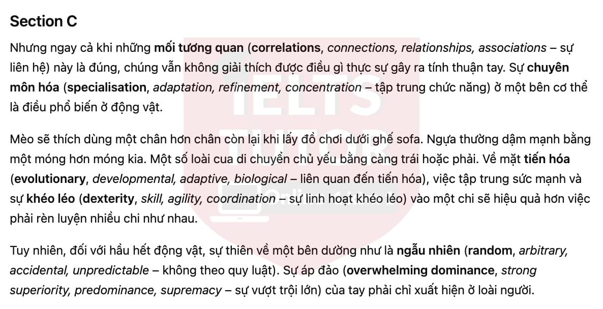 🔥Left-handed or Right-handed? Answers with location - Đề luyện tập IELTS READING- Làm bài online format computer-based, kèm đáp án, dịch & giải thích từ vựng - cấu trúc ngữ pháp khó 🔥Left-handed or Right-handed? Answers with location - Đề luyện tập IELTS READING- Làm bài online format computer-based, kèm đáp án, dịch & giải thích từ vựng - cấu trúc ngữ pháp khó
