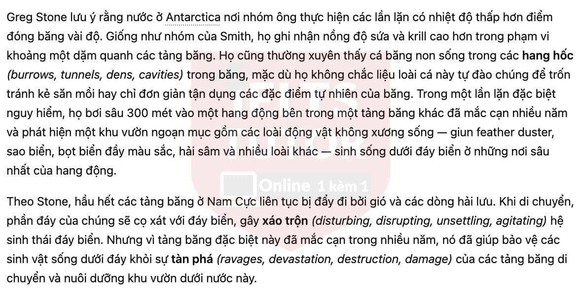 🔥The importance of icebergs to ocean life Answers with location - Đề luyện tập IELTS READING- Làm bài online format computer-based, kèm đáp án, dịch & giải thích từ vựng - cấu trúc ngữ pháp khó 🔥The importance of icebergs to ocean life Answers with location - Đề luyện tập IELTS READING- Làm bài online format computer-based, kèm đáp án, dịch & giải thích từ vựng - cấu trúc ngữ pháp khó