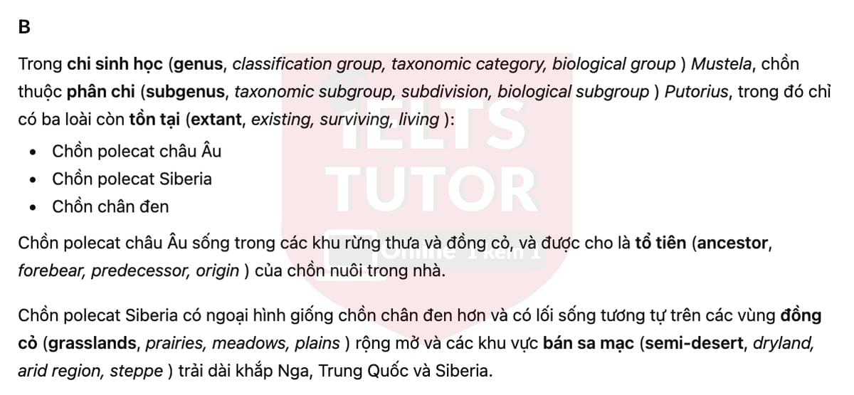🔥The return of the black-footed ferret Answers with location - Đề luyện tập IELTS READING- Làm bài online format computer-based, kèm đáp án, dịch & giải thích từ vựng - cấu trúc ngữ pháp khó 🔥The return of the black-footed ferret Answers with location - Đề luyện tập IELTS READING- Làm bài online format computer-based, kèm đáp án, dịch & giải thích từ vựng - cấu trúc ngữ pháp khó