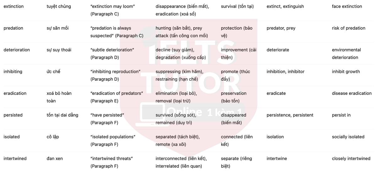 🔥Saving the Skink Answers with location - Đề luyện tập IELTS READING- Làm bài online format computer-based, kèm đáp án, dịch & giải thích từ vựng - cấu trúc ngữ pháp khó 🔥Saving the Skink Answers with location - Đề luyện tập IELTS READING- Làm bài online format computer-based, kèm đáp án, dịch & giải thích từ vựng - cấu trúc ngữ pháp khó