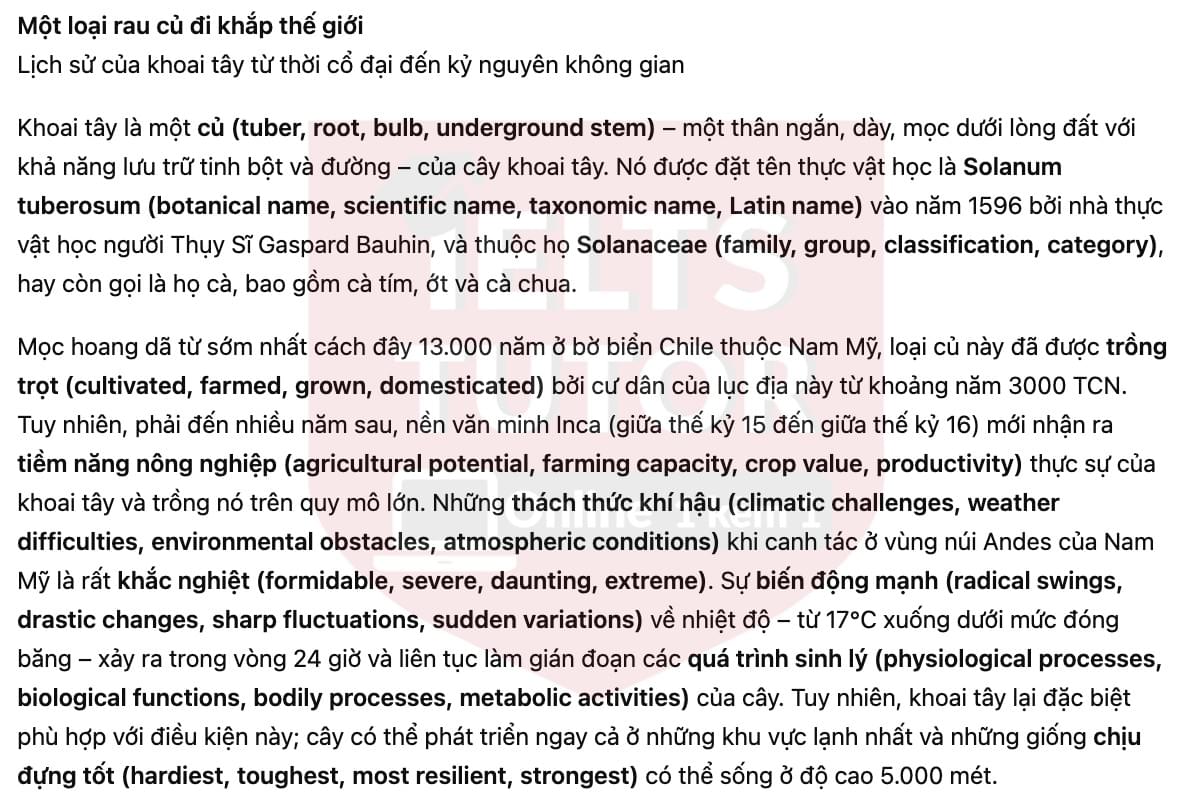 🔥A much-travelled vegetable Answers with location - Đề thi thật IELTS READING- Làm bài online format computer-based, kèm đáp án, dịch & giải thích từ vựng - cấu trúc ngữ pháp khó 🔥A much-travelled vegetable Answers with location - Đề thi thật IELTS READING- Làm bài online format computer-based, kèm đáp án, dịch & giải thích từ vựng - cấu trúc ngữ pháp khó