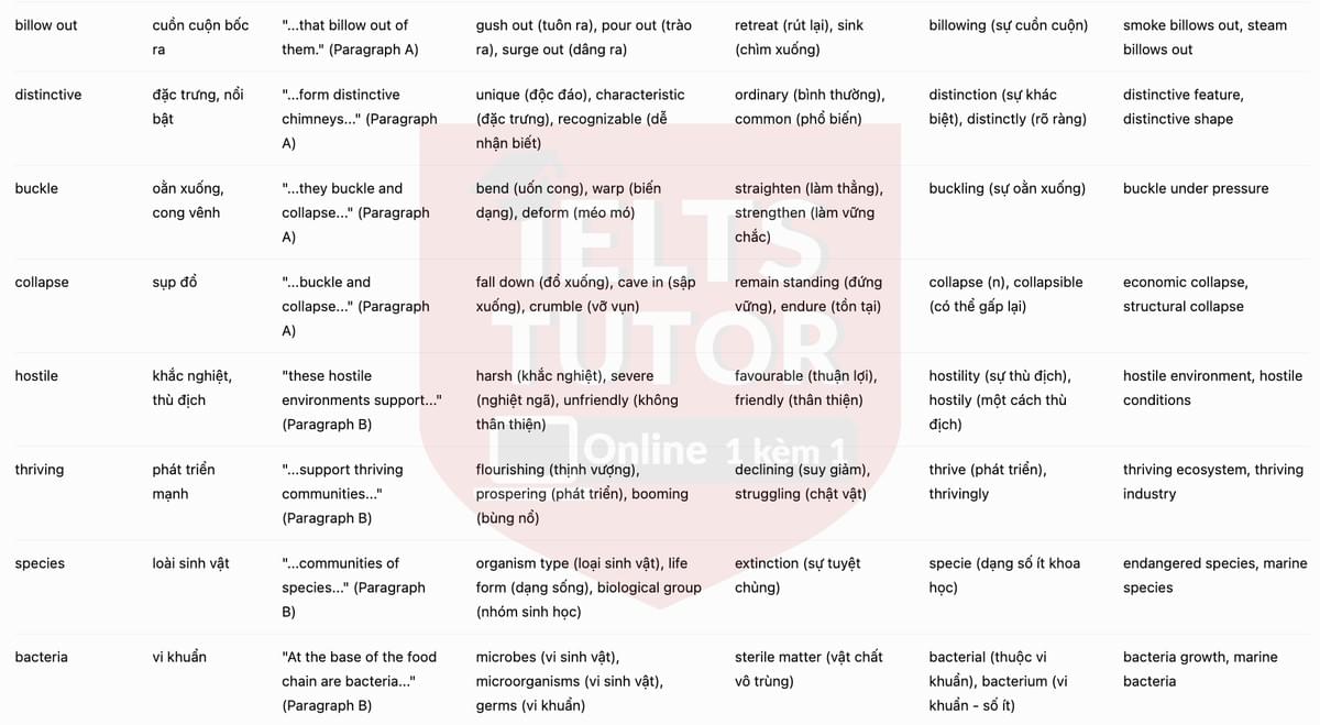 🔥Treasures of the deep Answers with location - Đề luyện tập IELTS READING- Làm bài online format computer-based, kèm đáp án, dịch & giải thích từ vựng - cấu trúc ngữ pháp khó 🔥Treasures of the deep Answers with location - Đề luyện tập IELTS READING- Làm bài online format computer-based, kèm đáp án, dịch & giải thích từ vựng - cấu trúc ngữ pháp khó