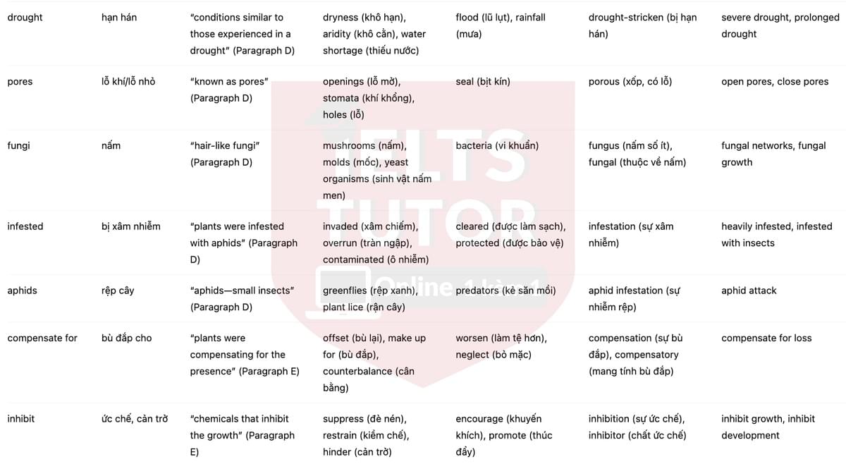 🔥How do plants talk to each other? Answers with location - Đề luyện tập IELTS READING- Làm bài online format computer-based, kèm đáp án, dịch & giải thích từ vựng - cấu trúc ngữ pháp khó 🔥How do plants talk to each other? Answers with location - Đề luyện tập IELTS READING- Làm bài online format computer-based, kèm đáp án, dịch & giải thích từ vựng - cấu trúc ngữ pháp khó
