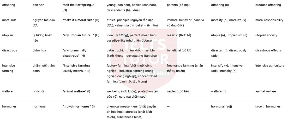 🔥Should We Stop Eating Meat? Answers with location - Đề luyện tập IELTS READING- Làm bài online format computer-based, kèm đáp án, dịch & giải thích từ vựng - cấu trúc ngữ pháp khó 🔥Should We Stop Eating Meat? Answers with location - Đề luyện tập IELTS READING- Làm bài online format computer-based, kèm đáp án, dịch & giải thích từ vựng - cấu trúc ngữ pháp khó