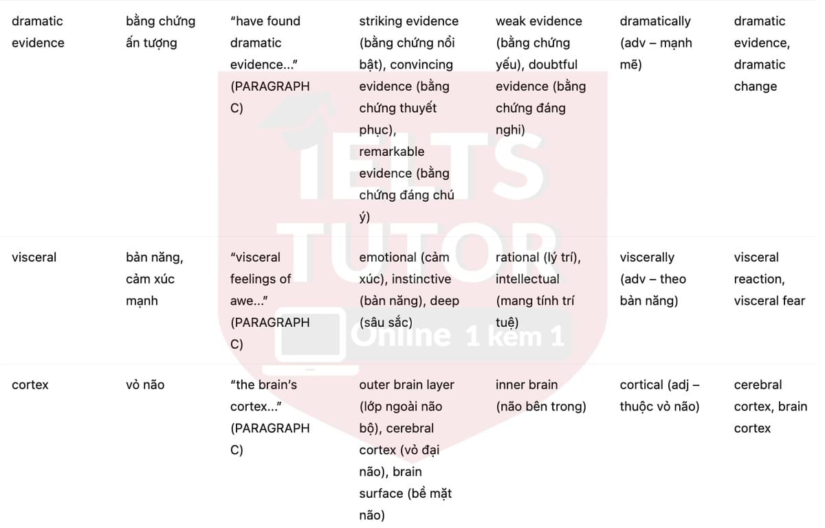 🔥Music soothes and awes - and may help us heal Answers with location - Đề luyện tập IELTS READING- Làm bài online format computer-based, kèm đáp án, dịch & giải thích từ vựng - cấu trúc ngữ pháp khó 🔥Music soothes and awes - and may help us heal Answers with location - Đề luyện tập IELTS READING- Làm bài online format computer-based, kèm đáp án, dịch & giải thích từ vựng - cấu trúc ngữ pháp khó