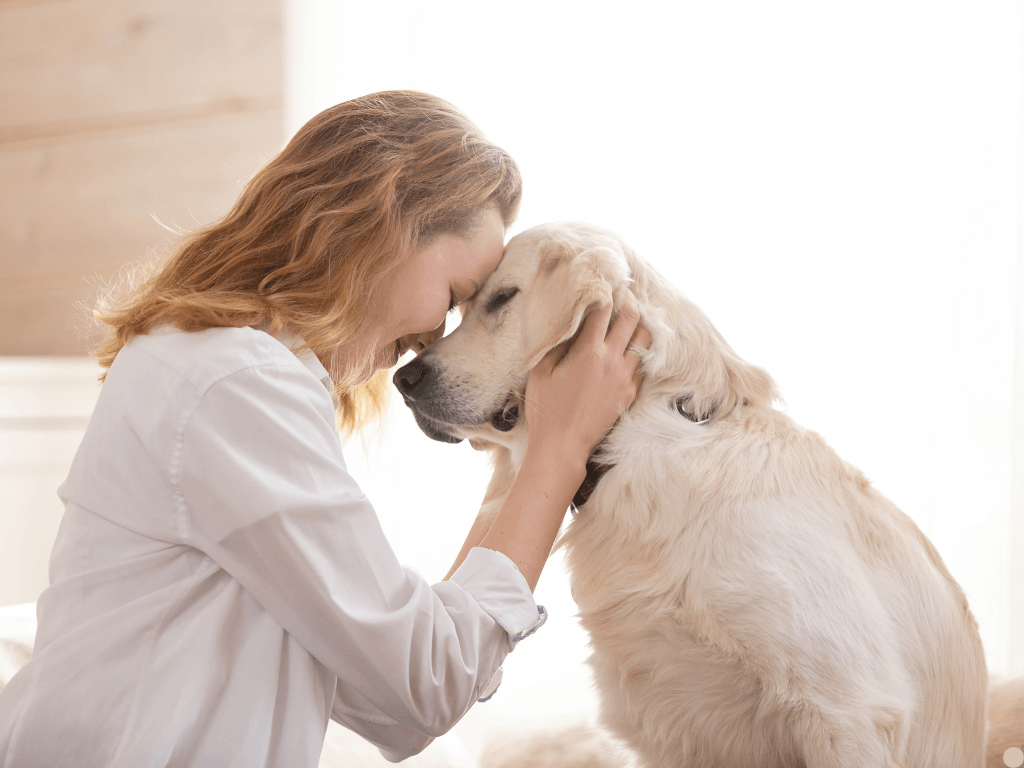 Neutracil is designed for various applications, from soothing hot spots on pets to treating minor cuts and scrapes on humans. Its versatility makes it an essential part of any first-aid kit, ensuring you are prepared for any unexpected situation. Versatile Use What We Offer This is a landing page for a product called Neutracil.
The Grocer's Pet Neutracil – Nature’s Gentle Power for Pets & People
Hypochlorous Acid Spray for Pets & People – All-Natural Healing and Protection
Our premium Hypochlorous Acid (HOCl) spray is a safe, natural solution for wound care, skin relief, and infection prevention. Trusted by veterinarians, holistic practitioners, and pet owners, HOCl mimics the body’s own immune defense to kill harmful bacteria, viruses, and fungi—without harsh chemicals or irritation.
Neutralize bacteria, viruses and fungi safely, for your whole family! Heal and soothe skin.
Perfect for Pets:
Hot Spot Relief – Calm itching and reduce inflammation
Wound & Post-Surgery Care – Promote faster healing while keeping the area clean
Eye & Ear Safe – Gently clean tear stains, ear debris, and sensitive skin
Odour Control – Neutralize pet smells at the source
Perfect for People:
First-Aid Essential – Clean and protect minor cuts, scrapes, and burns
Skin Soothing – Reduce redness, Neutracil is designed for various applications, from soothing hot spots on pets to treating minor cuts and scrapes on humans. Its versatility makes it an essential part of any first-aid kit, ensuring you are prepared for any unexpected situation. Versatile Use What We Offer This is a landing page for a product called Neutracil.
The Grocer's Pet Neutracil – Nature’s Gentle Power for Pets & People
Hypochlorous Acid Spray for Pets & People – All-Natural Healing and Protection
Our premium Hypochlorous Acid (HOCl) spray is a safe, natural solution for wound care, skin relief, and infection prevention. Trusted by veterinarians, holistic practitioners, and pet owners, HOCl mimics the body’s own immune defense to kill harmful bacteria, viruses, and fungi—without harsh chemicals or irritation.
Neutralize bacteria, viruses and fungi safely, for your whole family! Heal and soothe skin.
Perfect for Pets:
Hot Spot Relief – Calm itching and reduce inflammation
Wound & Post-Surgery Care – Promote faster healing while keeping the area clean
Eye & Ear Safe – Gently clean tear stains, ear debris, and sensitive skin
Odour Control – Neutralize pet smells at the source
Perfect for People:
First-Aid Essential – Clean and protect minor cuts, scrapes, and burns
Skin Soothing – Reduce redness,