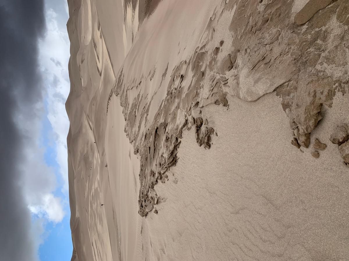 Section image