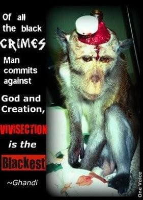 Mohandas Karamchand Gandhi Mohandas Karamchand Gandhi