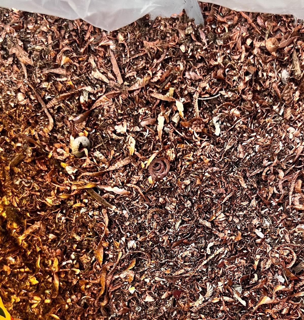 We are committed to promoting environmental protection, the recycled waste copper will be reused for sustainable development. environmental protection concept Our service High price recycling waste copper We are committed to promoting environmental protection, the recycled waste copper will be reused for sustainable development. environmental protection concept Our service High price recycling waste copper