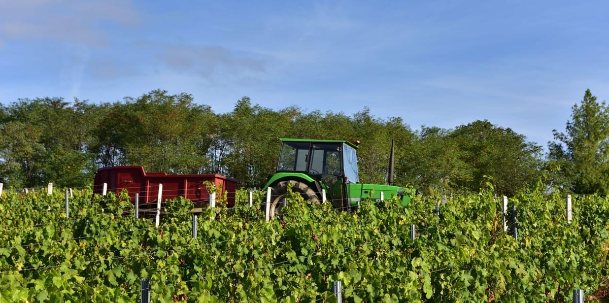 Orchard Tractor Orchard Tractor