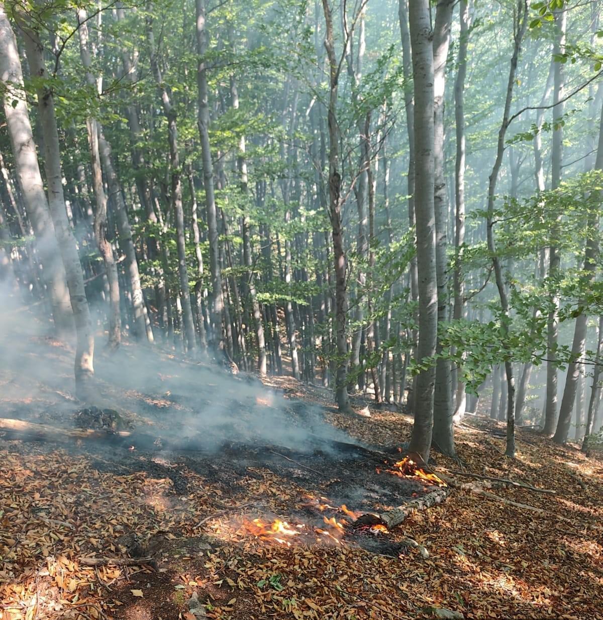 Section image