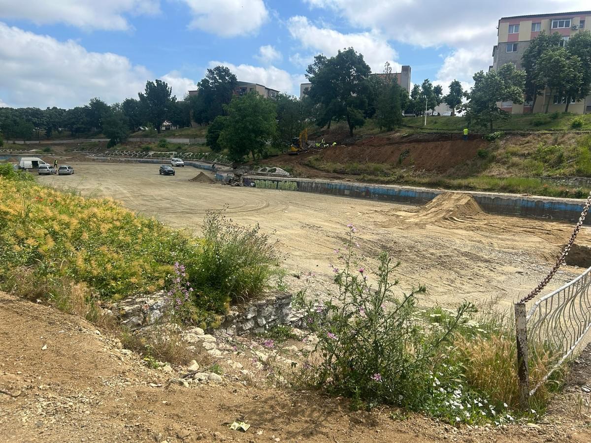 Section image