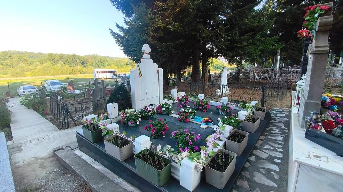 Section image