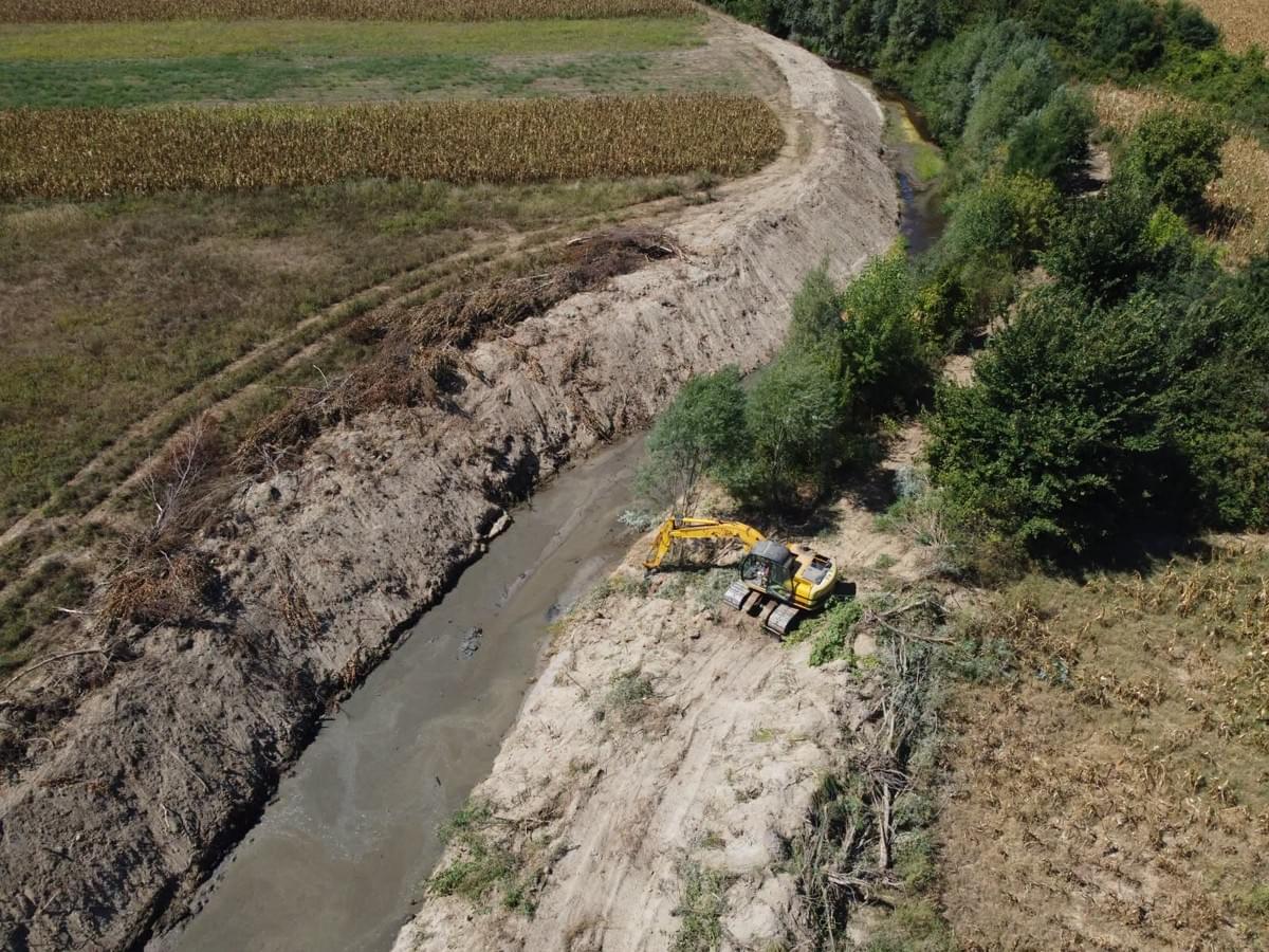 Section image
