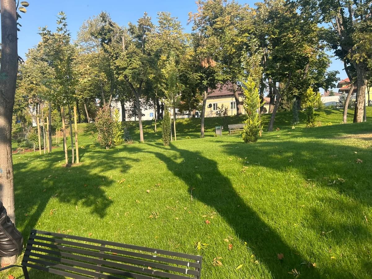 Section image