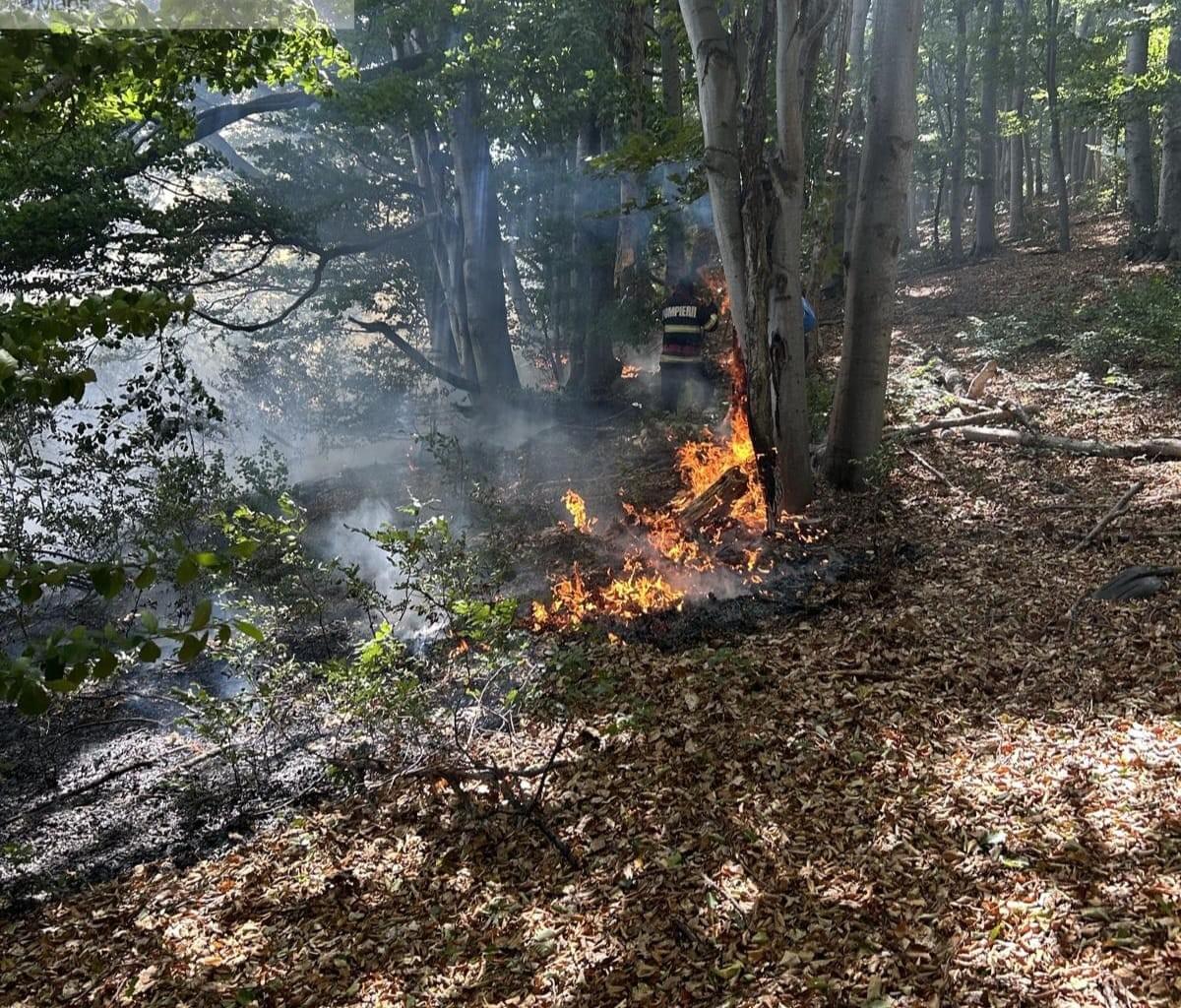 Section image