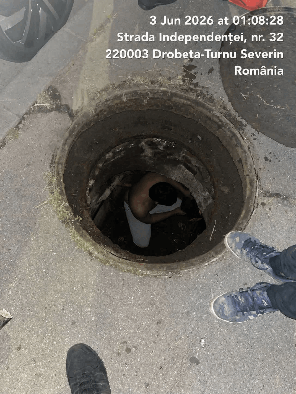 Section image