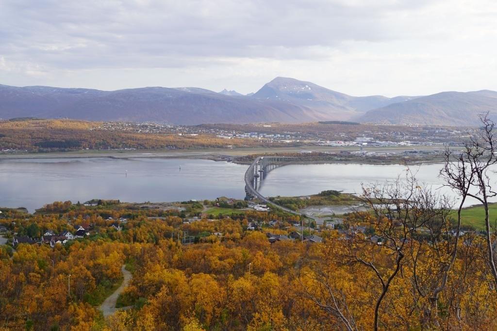 Section image
