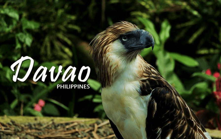 Things to Do in Davao City Things to Do in Davao City