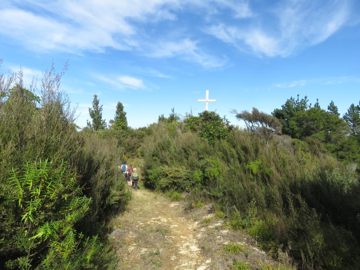 Section image