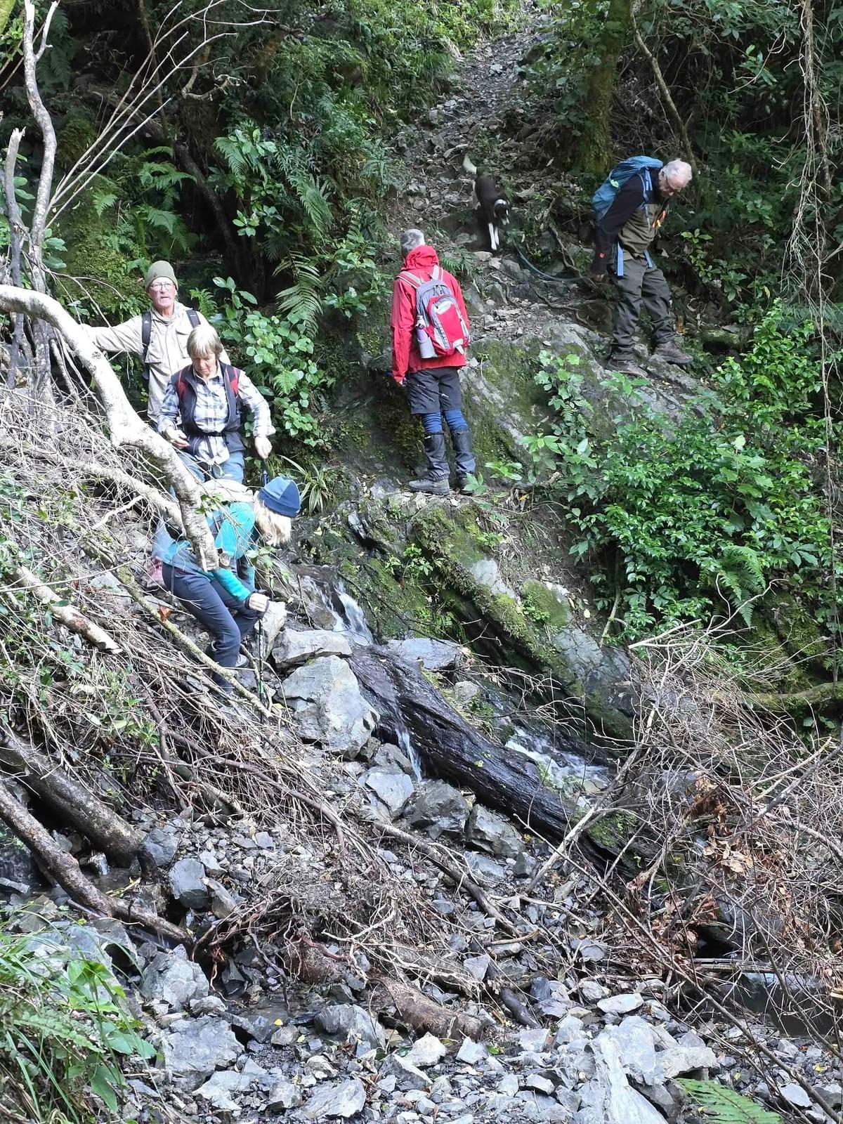 Section image