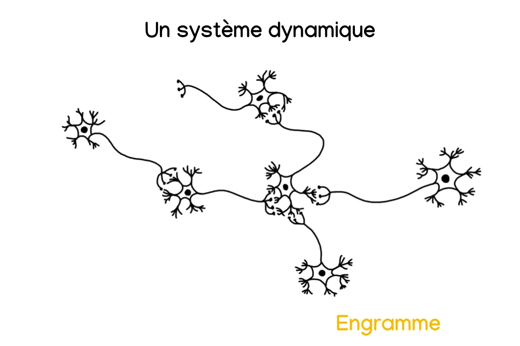 Voyage d’apprentissage en mind mapping Voyage d’apprentissage en mind mapping