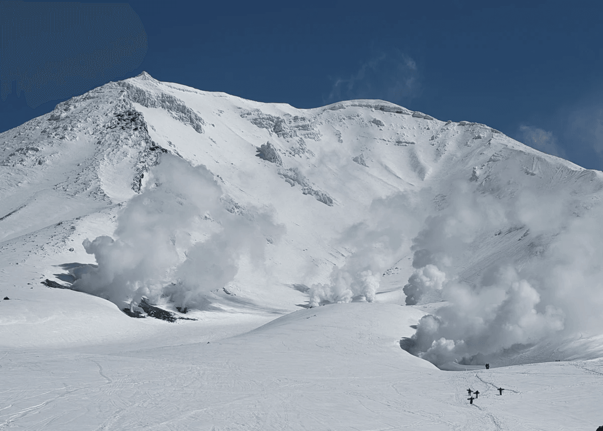 Section image