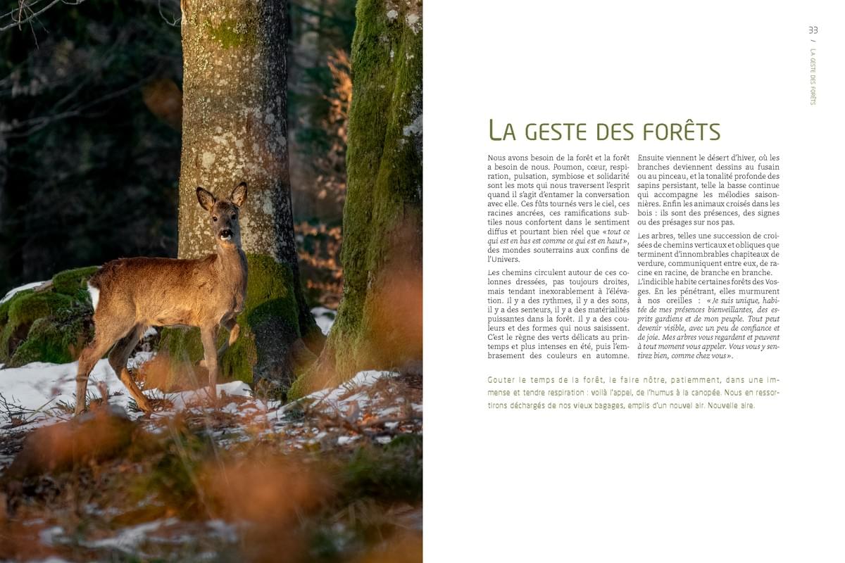 MASSIF DES VOSGES ESPRIT DES LIEUX 2026-2027