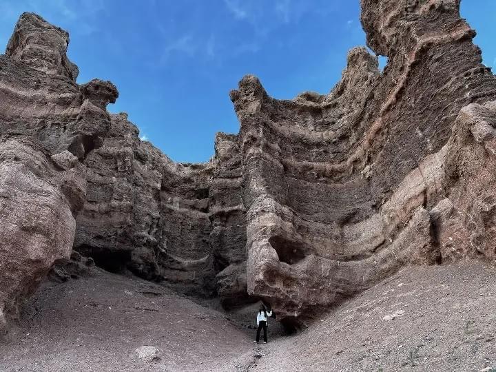 Section image