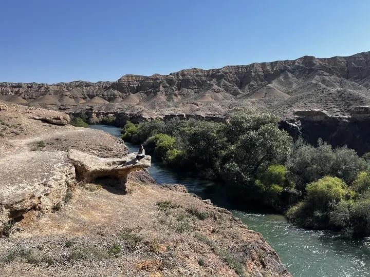 Section image