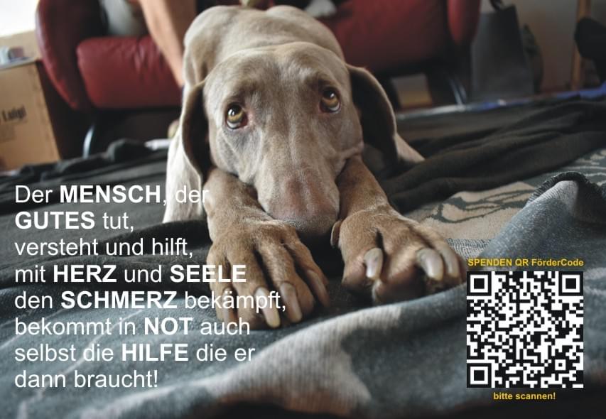 Wegbegleiter Wegbegleiter