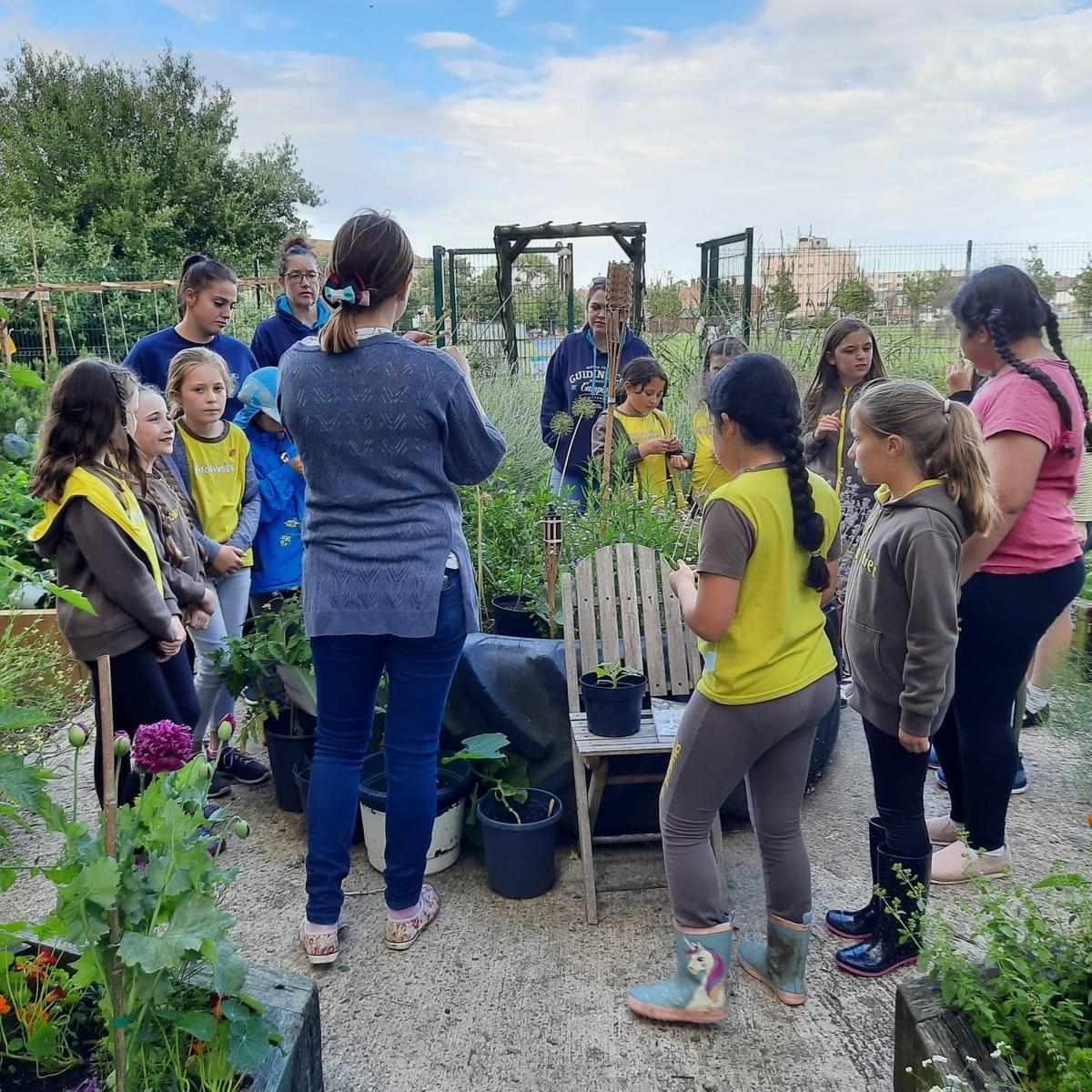 community group brownies herne bay education children foraging community group brownies herne bay education children foraging