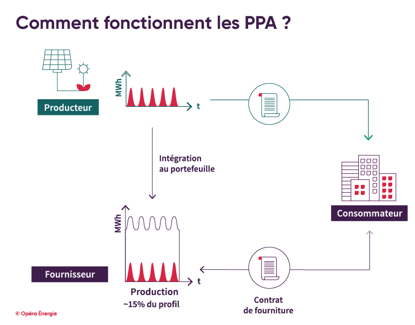 infographie - Comment fonctionnent les PPA ? infographie - Comment fonctionnent les PPA ?