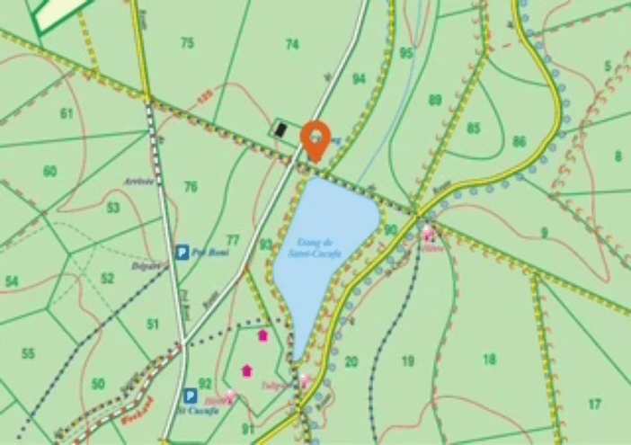 Section image