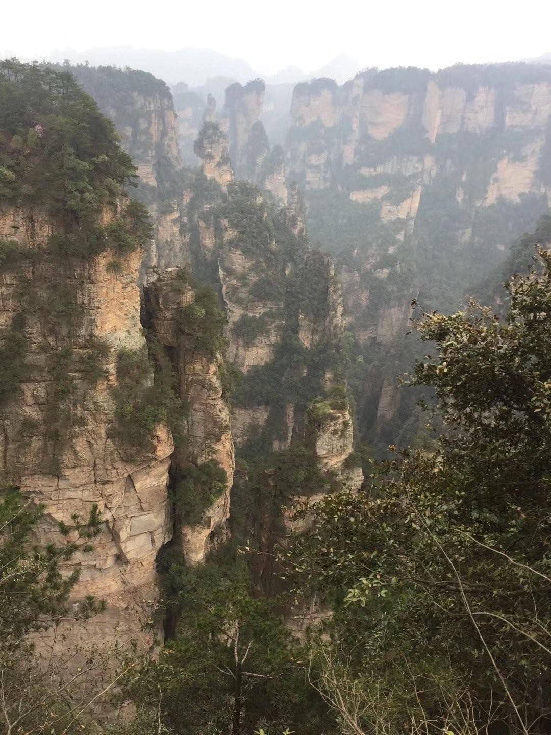 Forested sandstone pillars in mist in Zhangjiajie Forested sandstone pillars in mist in Zhangjiajie