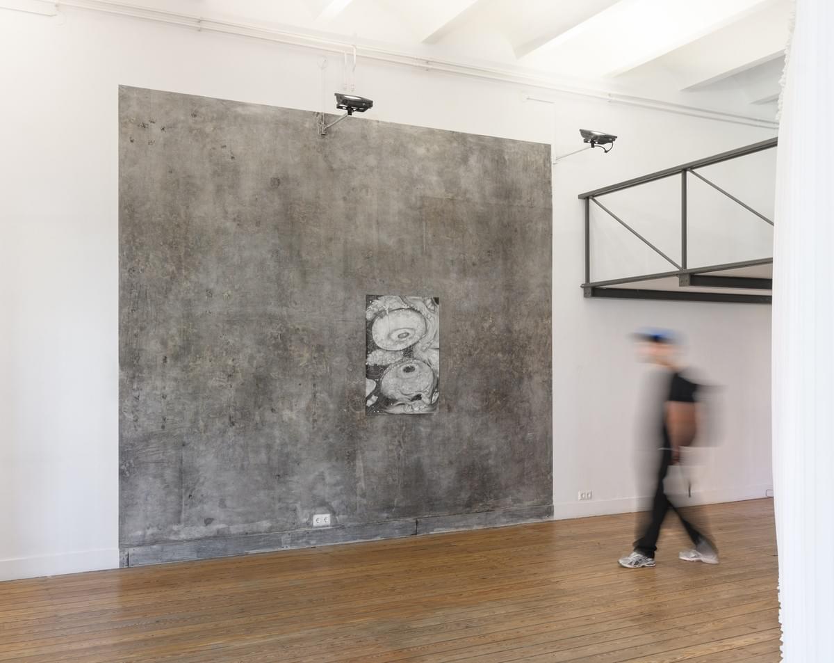 puntWG, Arrangements, photo Harm van den Berg / Studio Plancius puntWG, Arrangements, photo Harm van den Berg / Studio Plancius