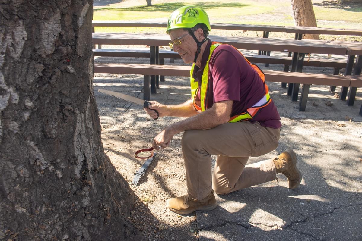 Planning and supervising tree protection during construction to preserve landscape integrity. Construction & Tree Protection Our Expertise Reports, tree risk assessments, inventories, appraisals, expert witness, construction/tree protection. ASCA lists him as an ISA Certified Arborist and Board Certified Master Arborist. ISA Certification: WE-1877B
Services:
Expert Witness Services
Tree Inventories
Appraisals of Tree Value/Loss
TRAQ – Tree Risk Appraisal Qualified
Demonstrations and lectures – Pruning, Safety, Training
Contract Preparation and Supervision
Tree Management for Golf Courses, Communities, HOAs
Clearly Written Reports that Fit your Project Needs
Affiliations shown:
ISA Qualifications
International Society of Arboriculture
American Society of Consulting Arborists
ISA Board Certified Master Arborist Planning and supervising tree protection during construction to preserve landscape integrity. Construction & Tree Protection Our Expertise Reports, tree risk assessments, inventories, appraisals, expert witness, construction/tree protection. ASCA lists him as an ISA Certified Arborist and Board Certified Master Arborist. ISA Certification: WE-1877B
Services:
Expert Witness Services
Tree Inventories
Appraisals of Tree Value/Loss
TRAQ – Tree Risk Appraisal Qualified
Demonstrations and lectures – Pruning, Safety, Training
Contract Preparation and Supervision
Tree Management for Golf Courses, Communities, HOAs
Clearly Written Reports that Fit your Project Needs
Affiliations shown:
ISA Qualifications
International Society of Arboriculture
American Society of Consulting Arborists
ISA Board Certified Master Arborist