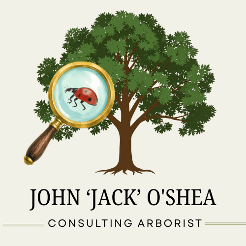 Planning and supervising tree protection during construction to preserve landscape integrity. Construction & Tree Protection Our Expertise Reports, tree risk assessments, inventories, appraisals, expert witness, construction/tree protection. ASCA lists him as an ISA Certified Arborist and Board Certified Master Arborist. ISA Certification: WE-1877B
Services:
Expert Witness Services
Tree Inventories
Appraisals of Tree Value/Loss
TRAQ – Tree Risk Appraisal Qualified
Demonstrations and lectures – Pruning, Safety, Training
Contract Preparation and Supervision
Tree Management for Golf Courses, Communities, HOAs
Clearly Written Reports that Fit your Project Needs
Affiliations shown:
ISA Qualifications
International Society of Arboriculture
American Society of Consulting Arborists
ISA Board Certified Master Arborist Planning and supervising tree protection during construction to preserve landscape integrity. Construction & Tree Protection Our Expertise Reports, tree risk assessments, inventories, appraisals, expert witness, construction/tree protection. ASCA lists him as an ISA Certified Arborist and Board Certified Master Arborist. ISA Certification: WE-1877B
Services:
Expert Witness Services
Tree Inventories
Appraisals of Tree Value/Loss
TRAQ – Tree Risk Appraisal Qualified
Demonstrations and lectures – Pruning, Safety, Training
Contract Preparation and Supervision
Tree Management for Golf Courses, Communities, HOAs
Clearly Written Reports that Fit your Project Needs
Affiliations shown:
ISA Qualifications
International Society of Arboriculture
American Society of Consulting Arborists
ISA Board Certified Master Arborist