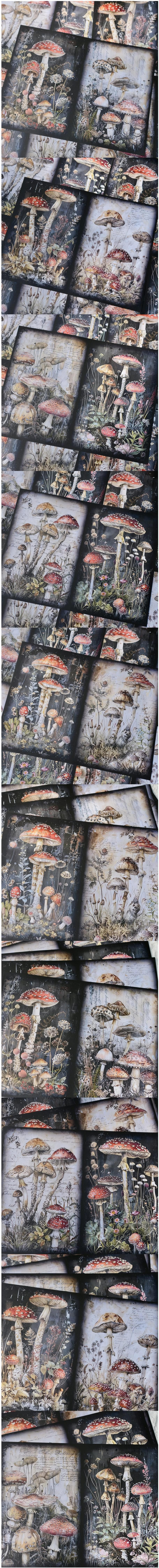 Forest Mushrooms & Floral Backgrounds (31-1)