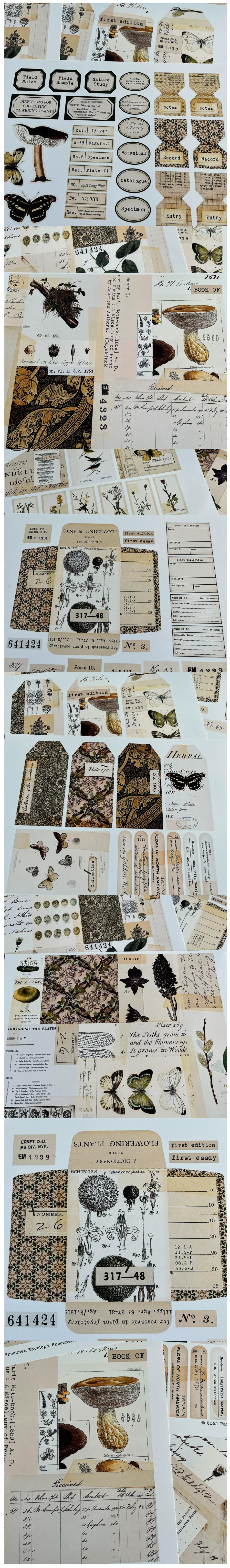 Retro Mushroom & Butterfly Label Snippets (10-42)