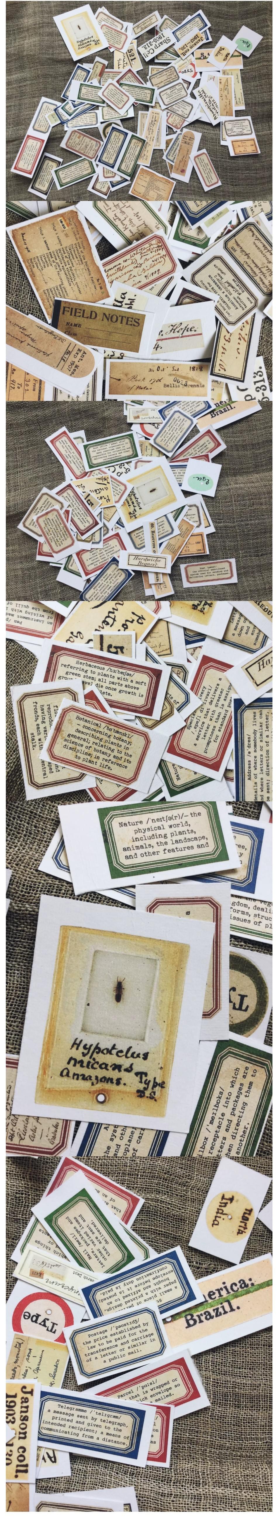 Mini Washi Paper English Typography Sticker Strips (6-33)