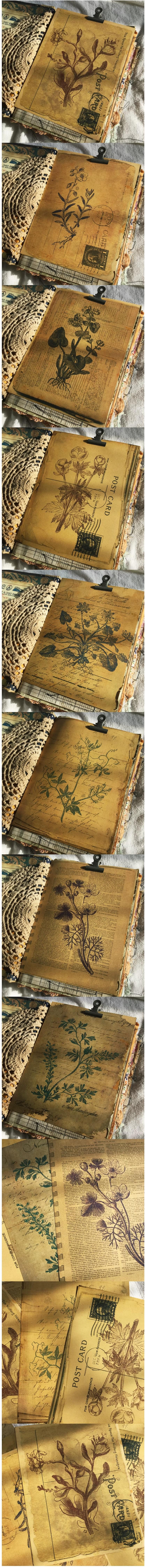 Antique English Newsprint & Botanical Poster Scraps (10-84)