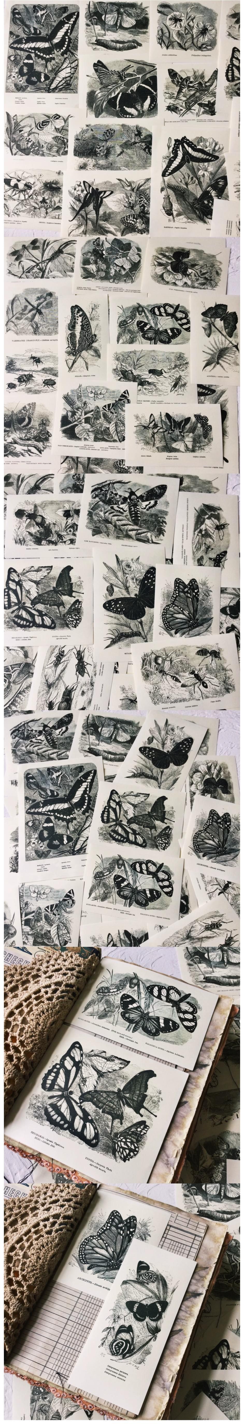 Monochrome Monochrome Butterflies & Foliage Scraps (10-77)
