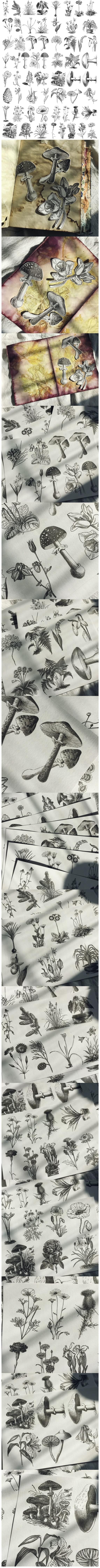 Monochrome Botanical Stamp Stickers & Specialty Papers (10-85)