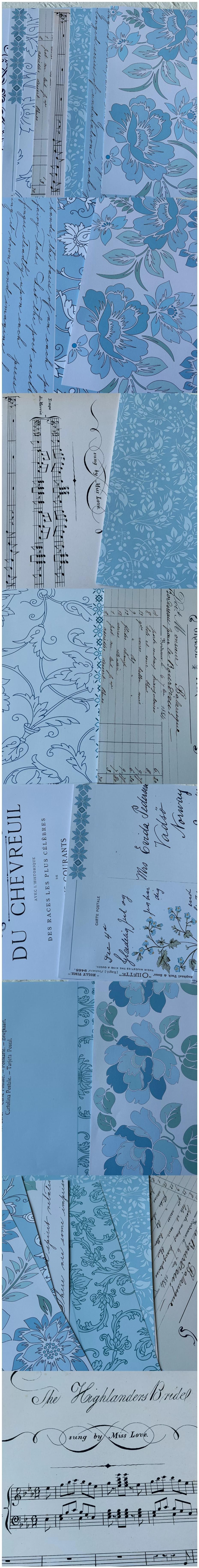 Pastoral Blue Floral & Music Ledger Papers (27-2)