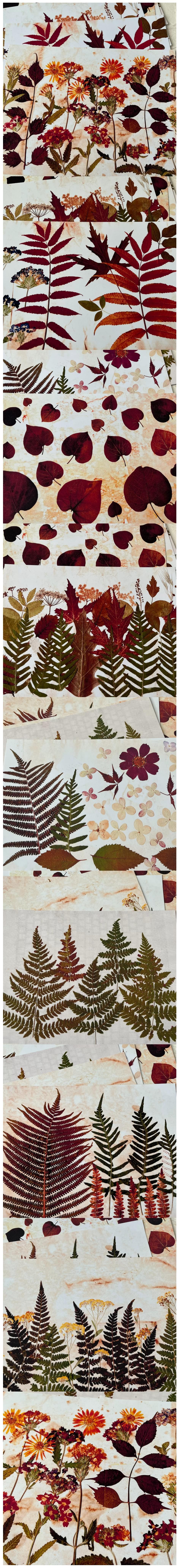 Autumn Ferns & Vintage Harvest Flora Sheets (10-35)